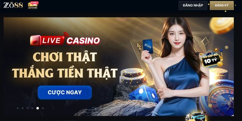 Giới thiệu đôi nét về ZO88